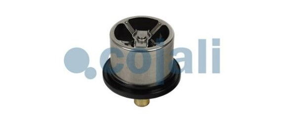 TERMOSTAT 82°C VOLVO RENAULT MAN CUMMINS 8149182