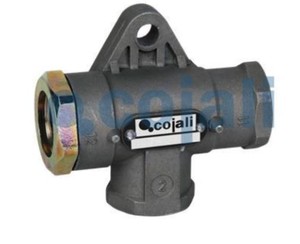  ÇEK VALF 4342080270