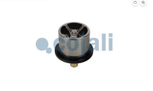  TERMOSTAT 82°C VOLVO RENAULT MAN CUMMINS 8149182